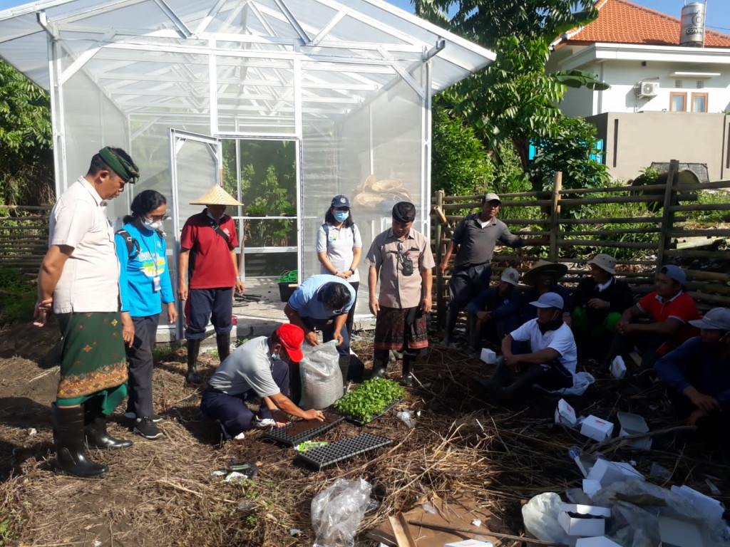 Perkuat Ketahanan Pangan Tim Penyuluh Kabupaten Badung Laksanakan Praktek Langsung Bersama Masyarakat di Desa Dalung